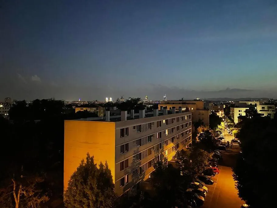 Apartment Spacieux&Agreable Appartement +Balcon Et Parking Villeurbanne